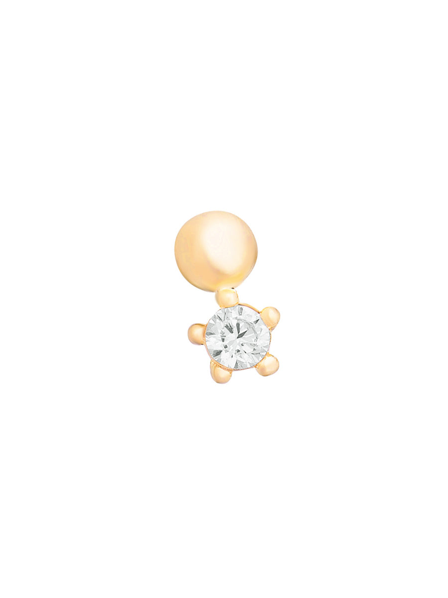 Piercing Canis - Oro 14k