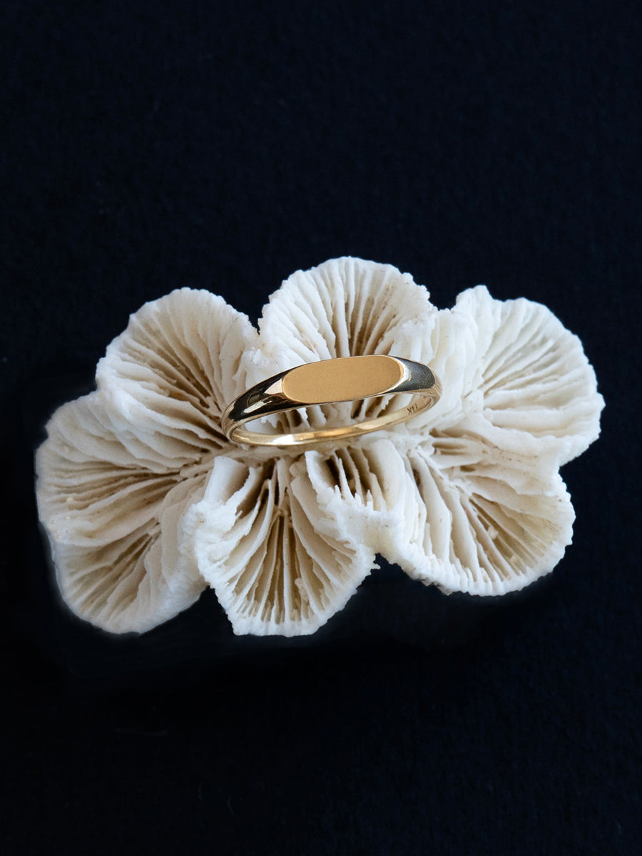 Anillo Único 006 - Oro 14k