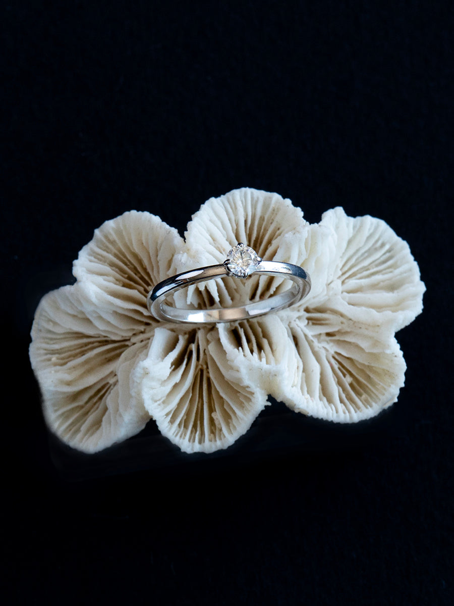 Anillo Único 004 - Plata Rodinada