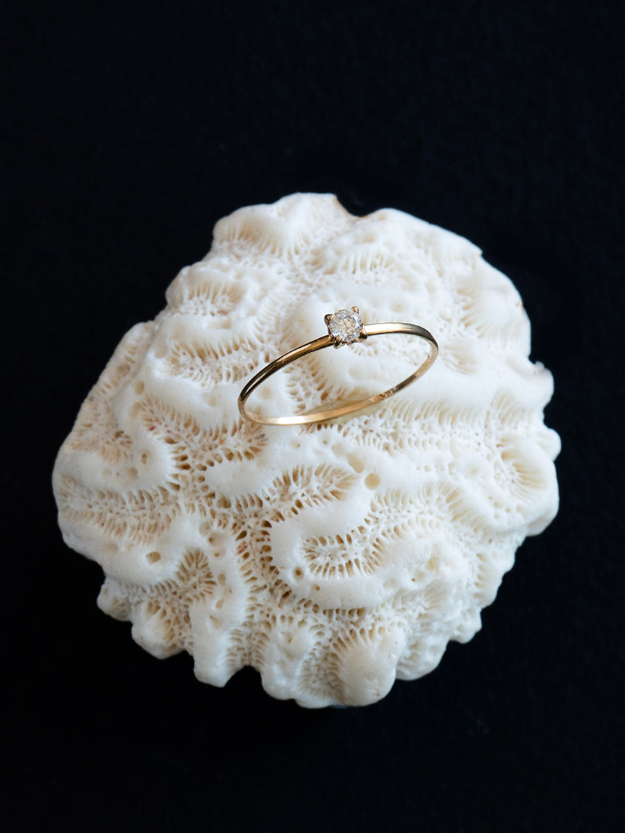 Anillo Único 008 - Oro 14k